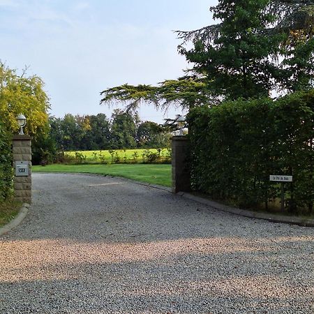 Le Pre Du Buis Bed and Breakfast Yvré-lʼÉvêque Eksteriør billede